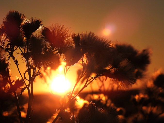 sunrise-1729054_1280