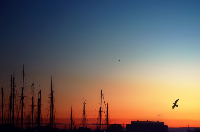 morning-2797206_1920